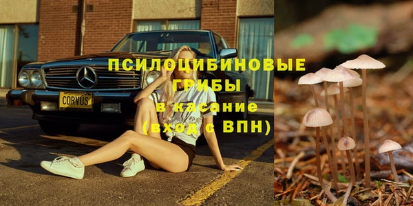 ГАЛЛЮЦИНОГЕННЫЕ ГРИБЫ Нея